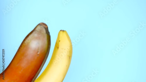 red banana and yellow banana on blue background, Fun fast food project