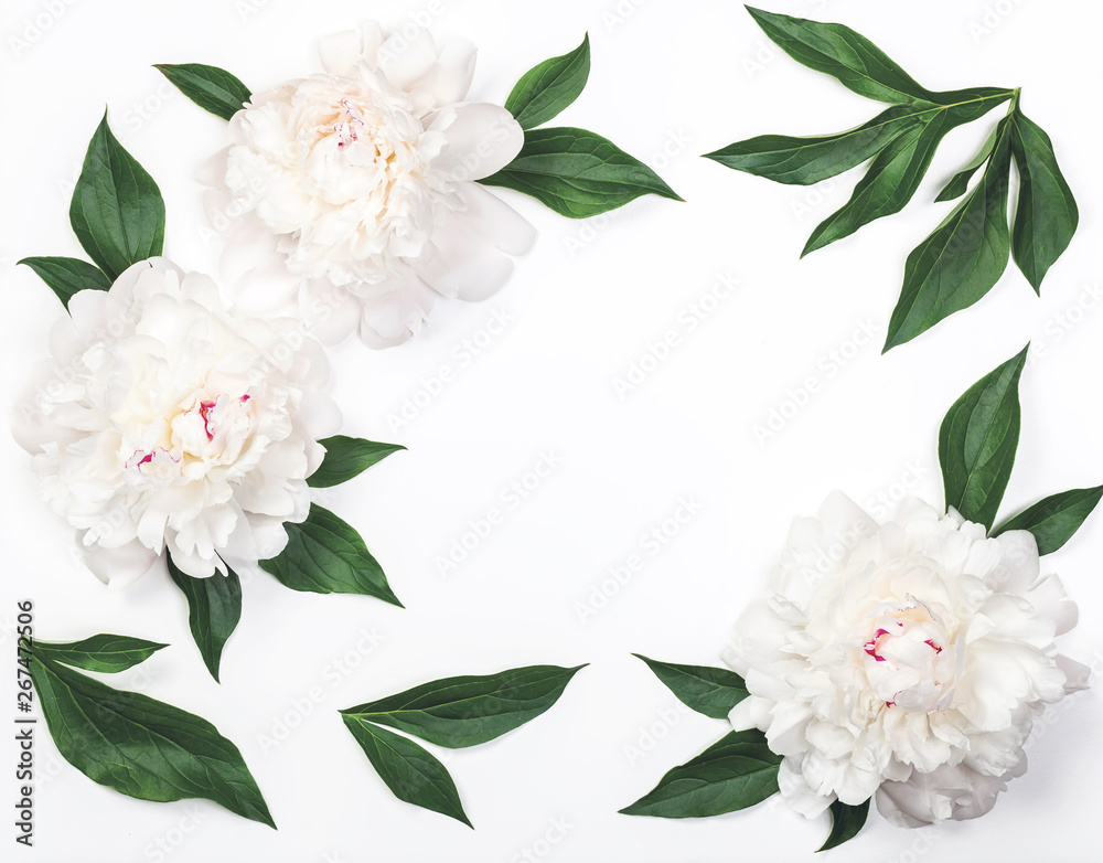 Frame of white peony flowers and leaves isolated on white background. Top view. Flat lay. - obrazy, fototapety, plakaty 