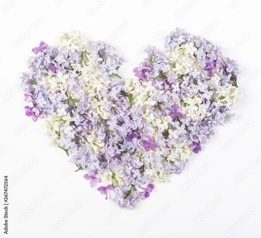 Heart symbol made of spring lilac flowers isolated on white background. Flat lay. Top view.
