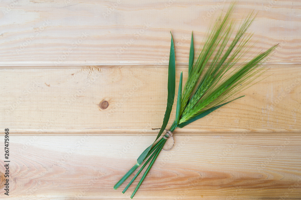 Green ears of barley on a wooden background. Green ears of barley on a wooden background.