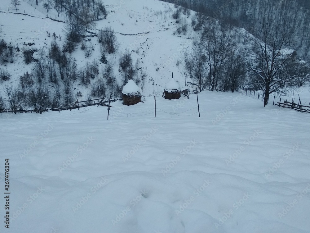 Paisaje de invierno con montañas y árboles, casas pueblo rural nieve en Rumanía Transilvania Paisaje de invierno con montañas y árboles, casas pueblo rural nieve en Rumanía Transilvania