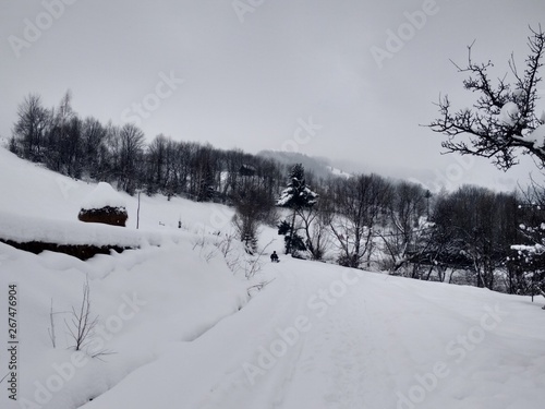 Paisaje de invierno con montañas y árboles, casas pueblo rural nieve en Rumanía Transilvania © nykaly