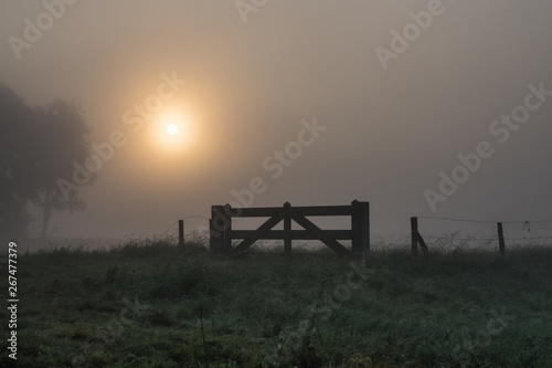 A fence on a farm field on the countryside. Country fence on a foggy morning. Sun and fog in Waalwijk, Noord Brabant, Netherlands.