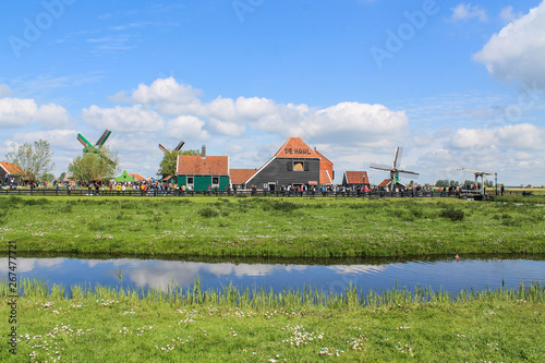 Sheep and farm in Nederland - Zaanse Schans