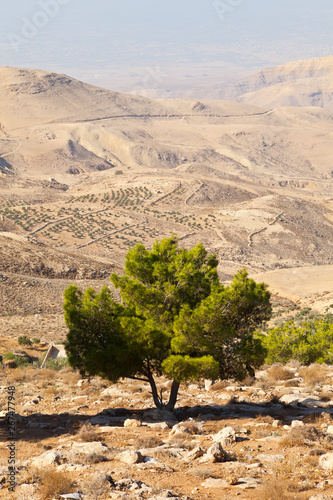 Panorámica del valle del río Jordan. Monte Nebo. Tierra Santa. Jordania, Oriente Medio photo