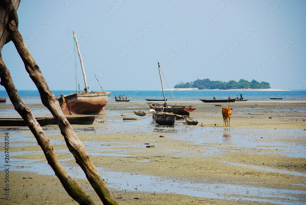 Boats on the beach Boats on the beach