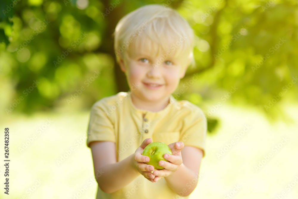 Little boy having fun with apple in domestic garden. Little boy having fun with apple in domestic garden.