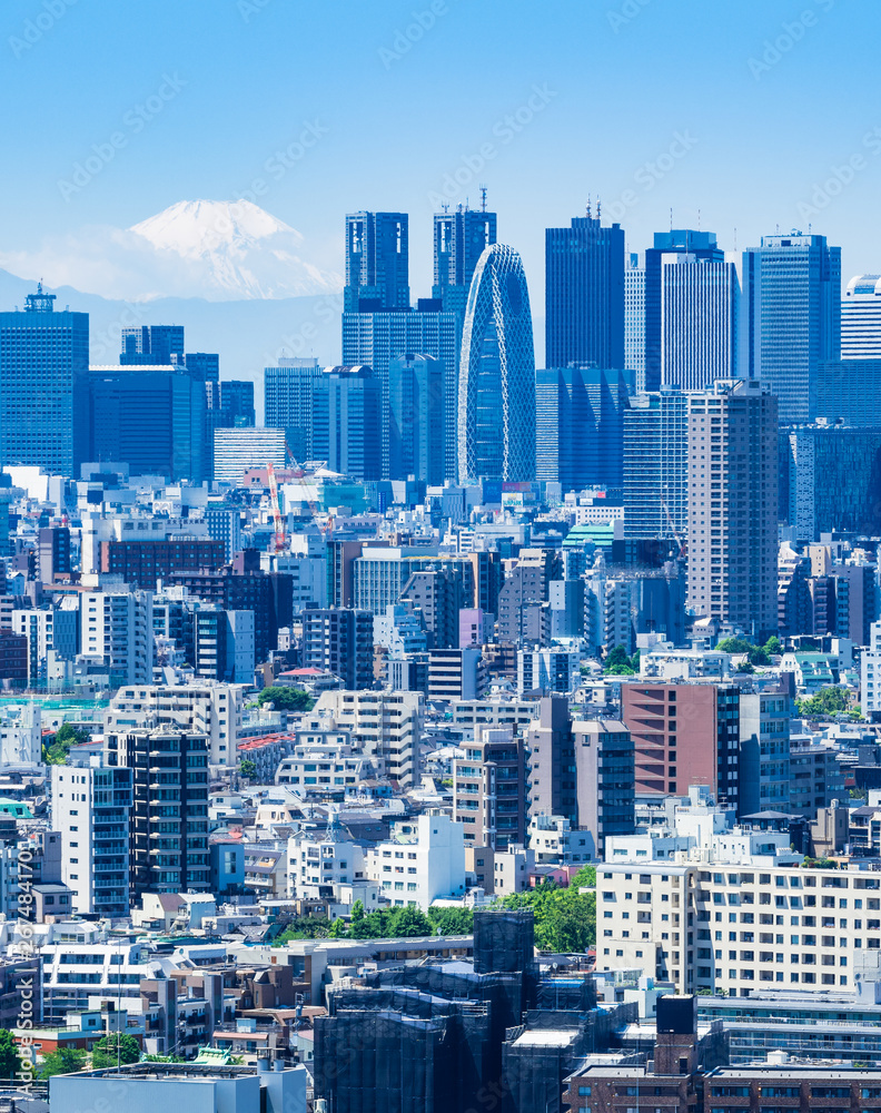 富士山と東京都市風景 縦位置