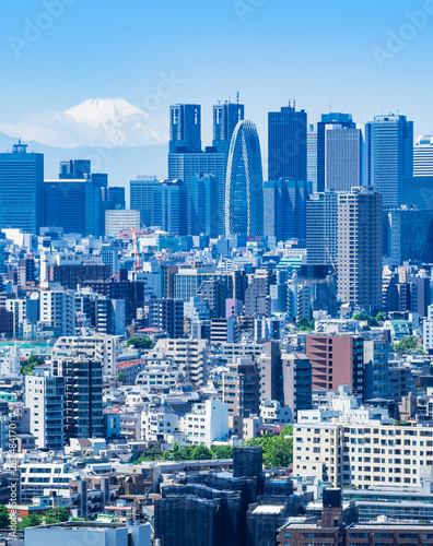 Obraz na płótnie 富士山と東京都市風景 縦位置 w salonie