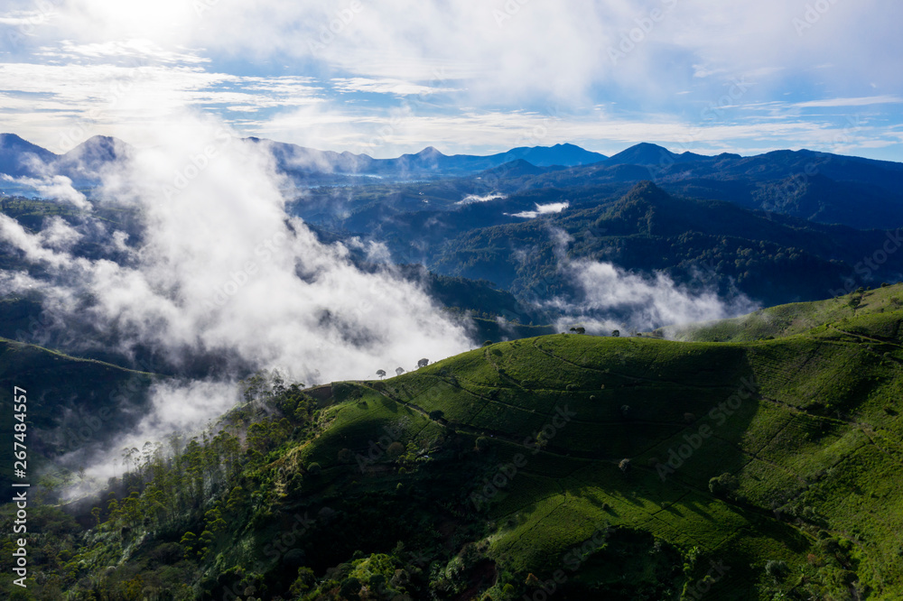Amazing tea plantation hill scenery at morning Amazing tea plantation hill scenery at morning