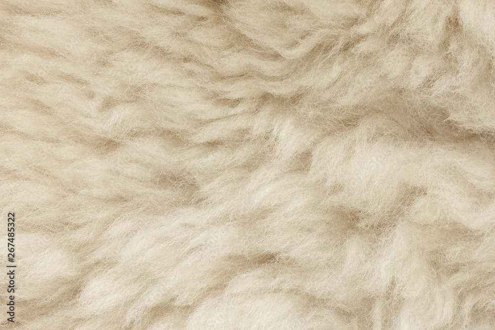 White shaggy natural sheep fur texture for background White shaggy natural sheep fur texture for background