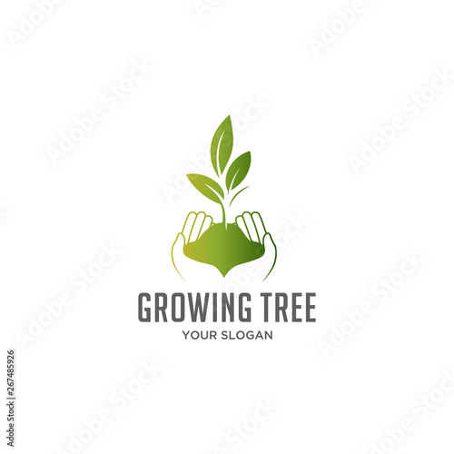growing tree care with two hand