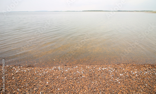 The shore of the lake  river  pond.