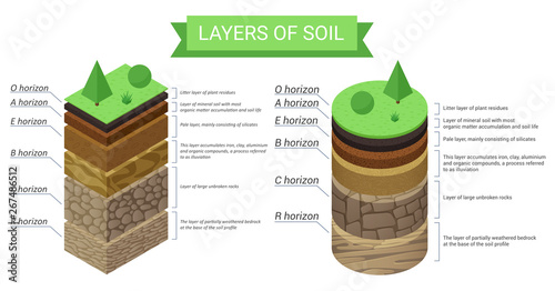 Education isometric diagram and detailed description of soil layers. Plant residue, green grass, fine mineral particles, sand,clay, humus and stones vector illustration. photo