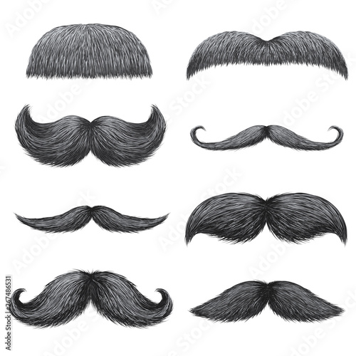Different styles of male realistic mustaches set. Chevron, Dali, english, handlebar, imperial, lampshade, painter brush, classic relaxed, thick thin man mustaches isolated.