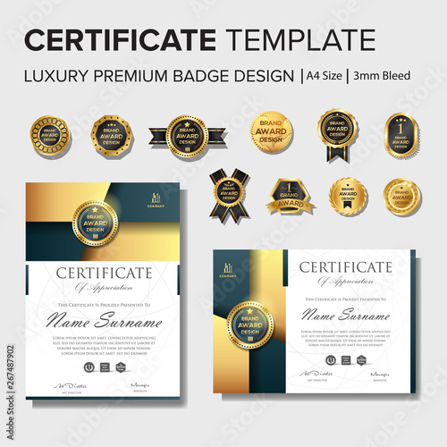 Professional certificate with premium badge