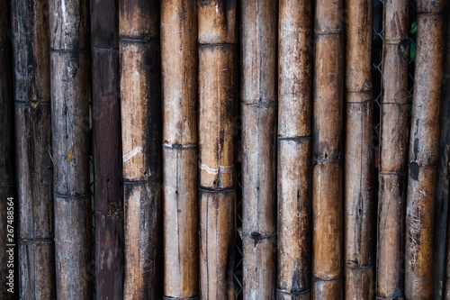 Bamboo wood wall