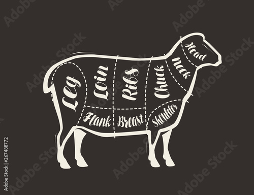 Cut of lamb meat drawn on the blackboard. Menu for restaurant or butcher shop. Vector