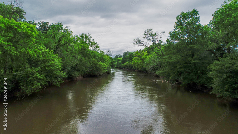 Obraz premium river in forest