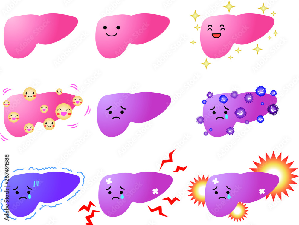 Fototapeta premium Illustration of a cute Gradation liver set