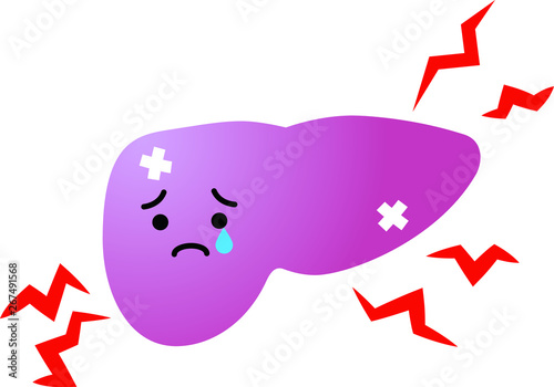 Illustration of a cute Gradation liver 