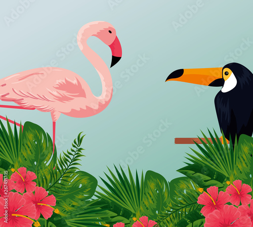 tropical toucan and flamish with flowers and leaves photo