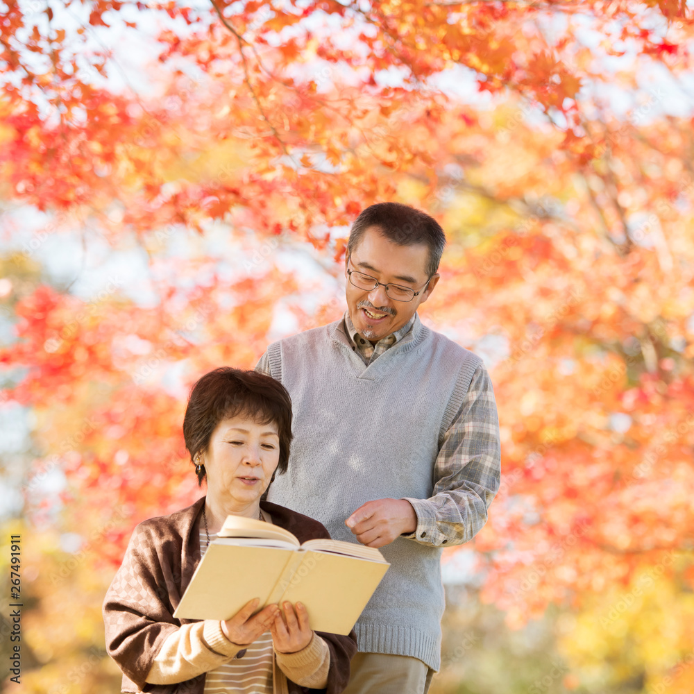 Fototapeta premium 読書をするシニア夫婦