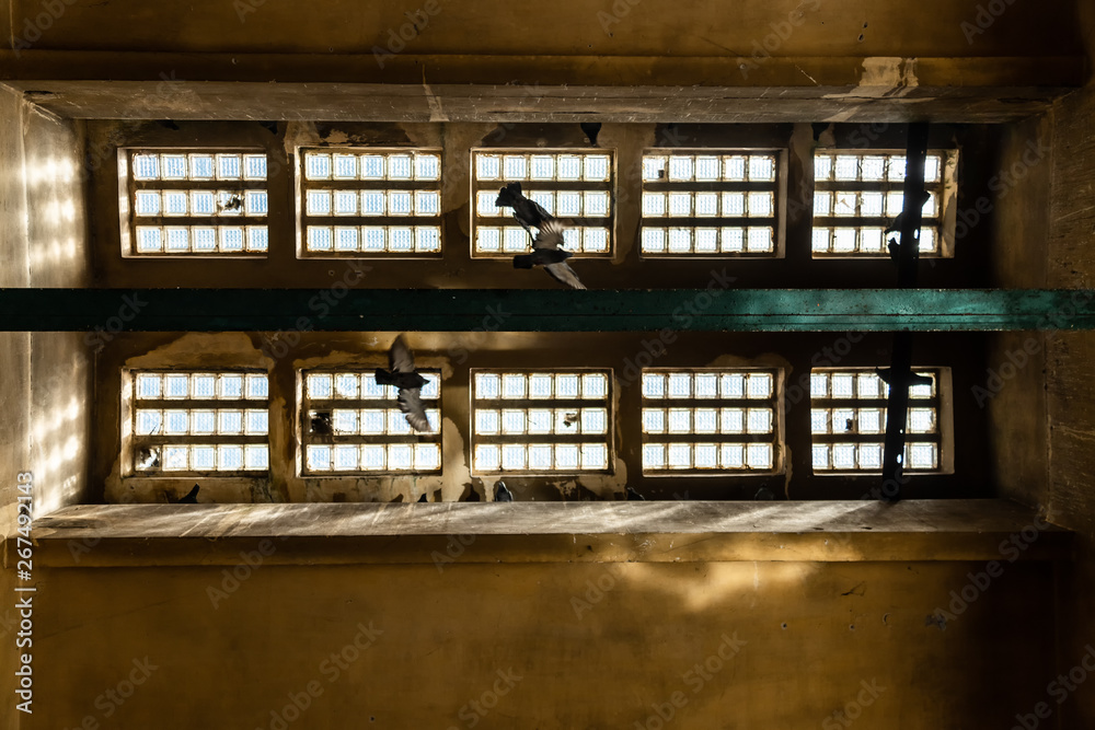 Skylight window seen from below with pigeons flying