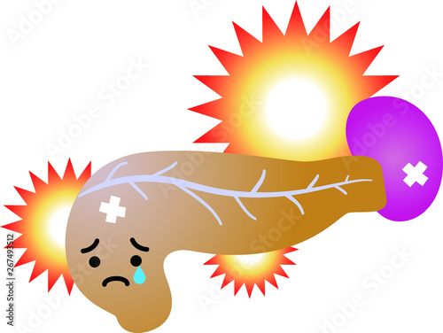 Illustration of a cute pancreas and spleen