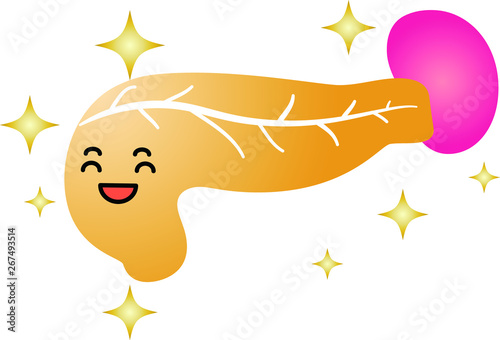 Illustration of a cute pancreas and spleen