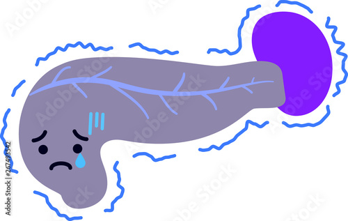 Illustration of a cute pancreas and spleen
