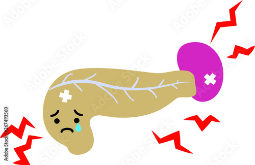 Illustration of a cute pancreas and spleen