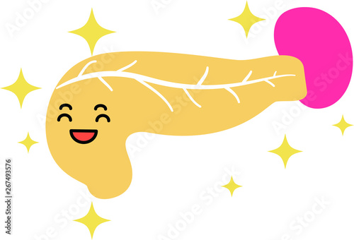 Illustration of a cute pancreas and spleen