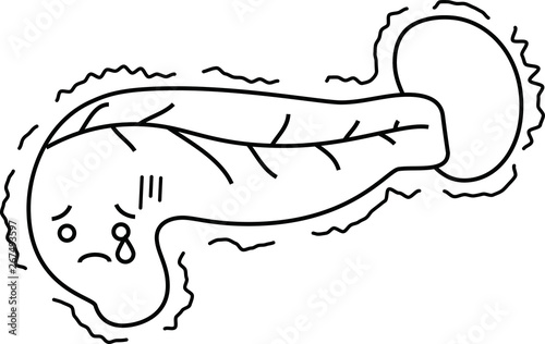 Illustration of a cute pancreas and spleen outline