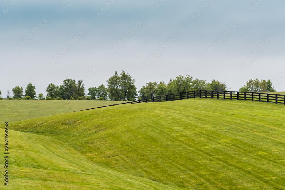 Horse Fence on Rolling Hills in Kentucky