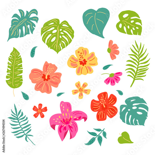 Tropical leaves and flowers set. Hand drawn sketch style vector illustration. Design elements isolated on white background. Flat style jungle plants.