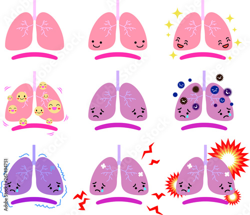 Illustration of a cute lung and diaphragm set