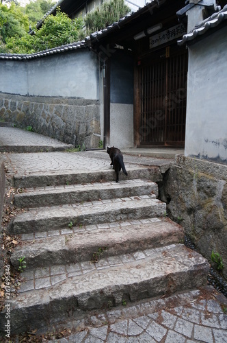 尾道の坂を上る1匹の黒猫