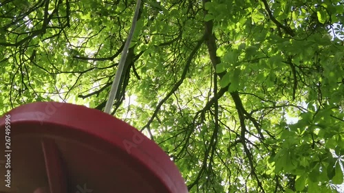 a deserted tree swing softly swinging in a light breeze photo