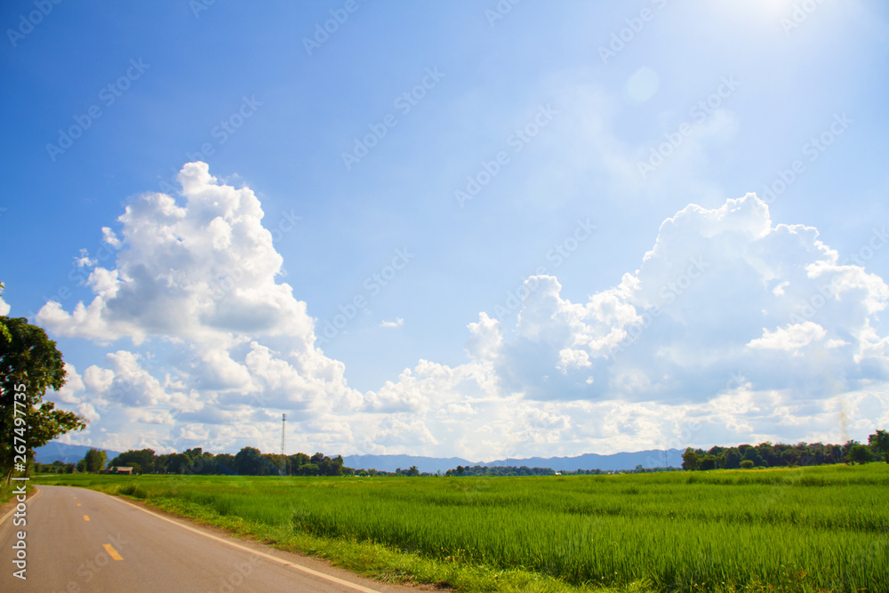 Obraz premium Blue Sky and cloud view with the way through the wide field in the farming season.The Field around with that perfect mountain.