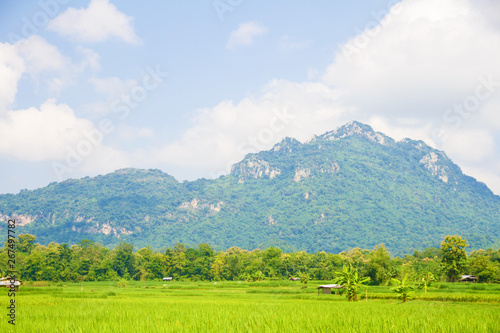 That perfect mountain, cloud and skyscape view with the wide field in the farming season.