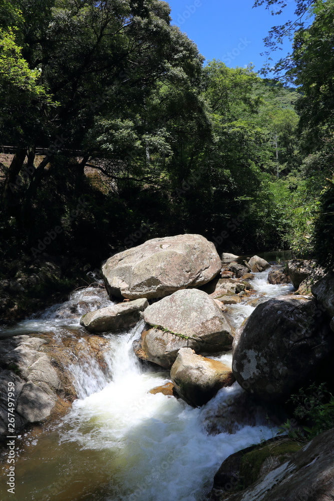 Fototapeta premium 清流