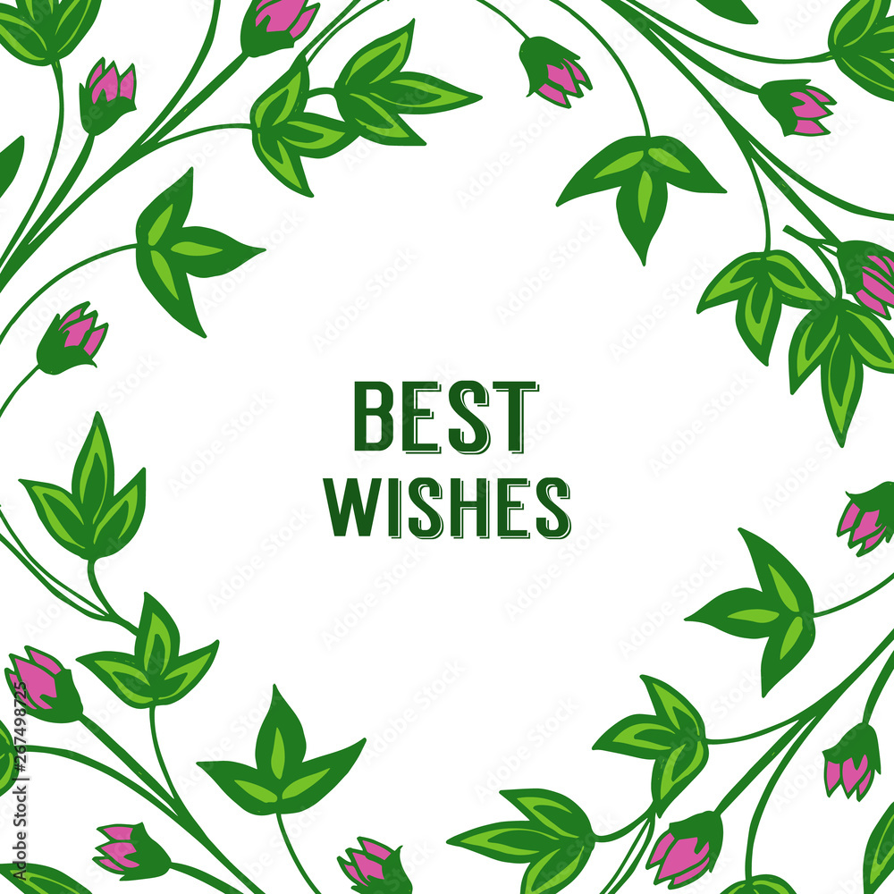 Vector illustration greeting card best wishes with beauty of frame flower pink and leaves green