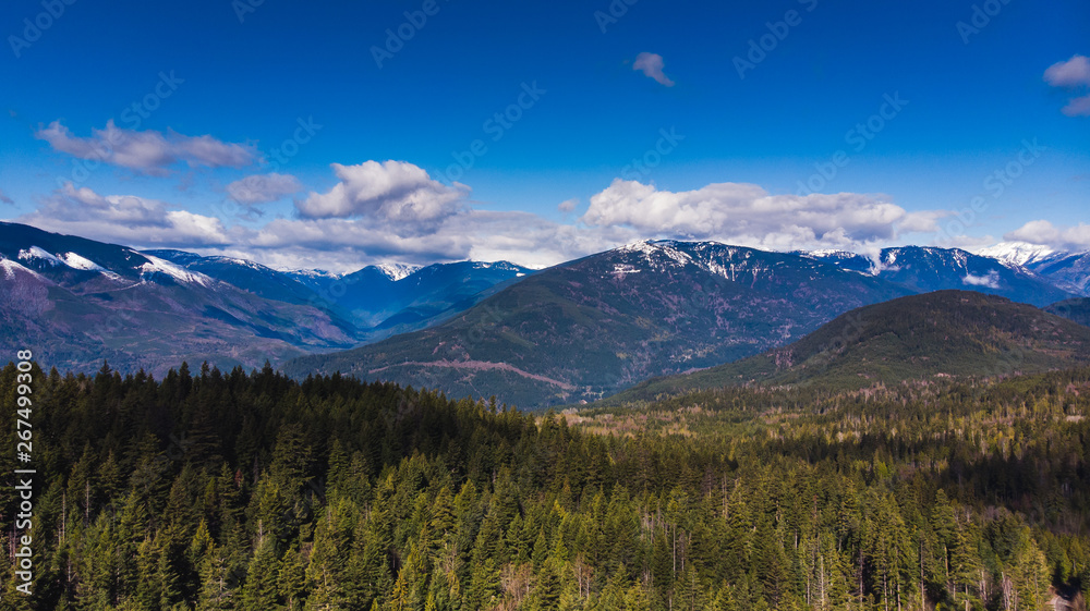 Aerial of forest and snow capped mountains on a nice spring day