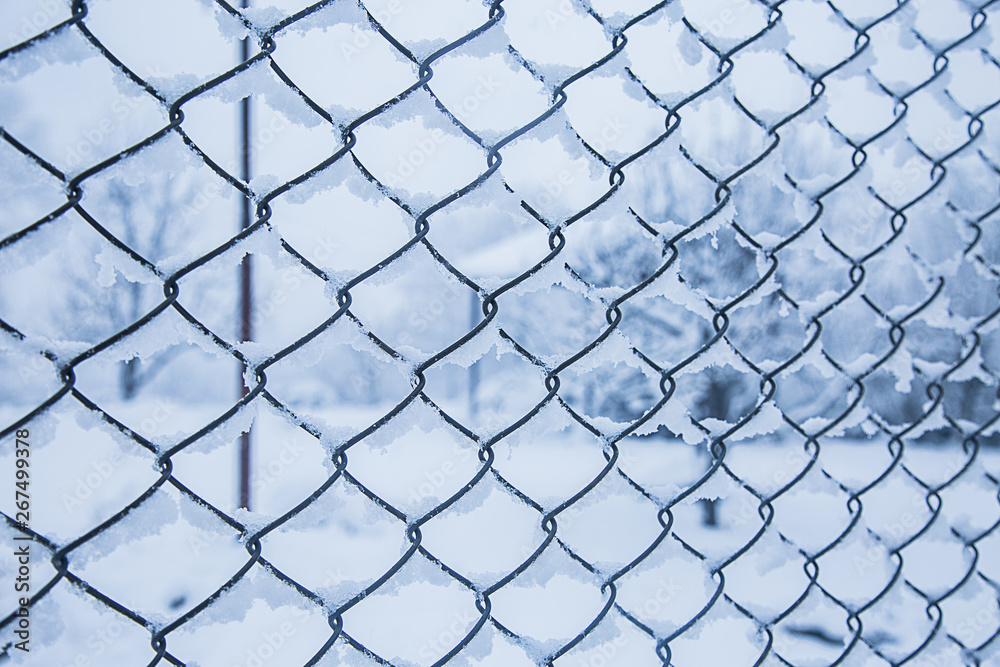 Wire fence in the snow. Fence background. Metallic net with snow. Metal net in winter covered with snow. Wire fence closeup. Steel wire mesh fence vintage effect. - Image Wire fence in the snow. Fence background. Metallic net with snow. Metal net in winter covered with snow. Wire fence closeup. Steel wire mesh fence vintage effect. - Image