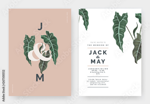 Minimalist botanical wedding invitation card template design, Alocasia Polly plant with lettering on light orange, pastel vintage theme