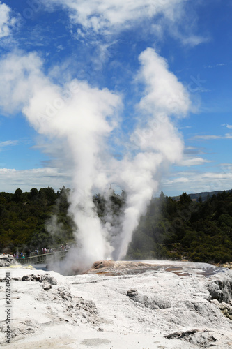 Pohutu Geyser in Te Puia National Park, Rotorua, New Zealand