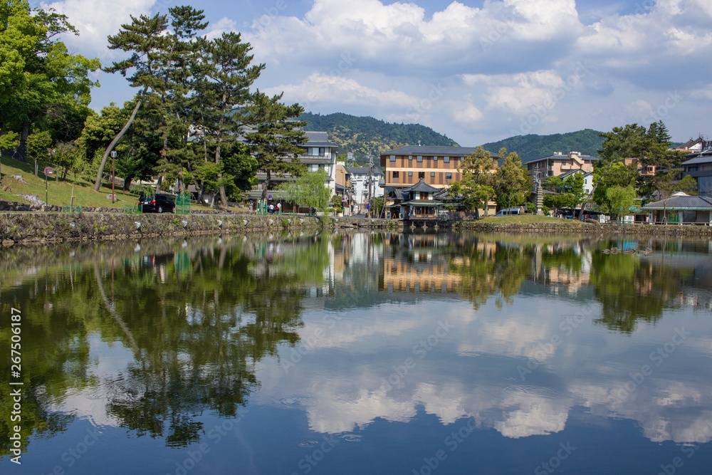 Relaxing scene by a lake in Nara, Japan.