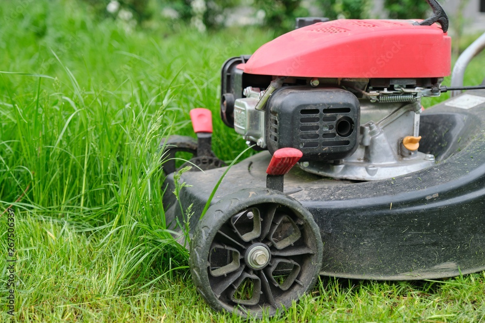 Closeup of lawn mower mowing green grass, city courtyard of an apartment building Closeup of lawn mower mowing green grass, city courtyard of an apartment building
