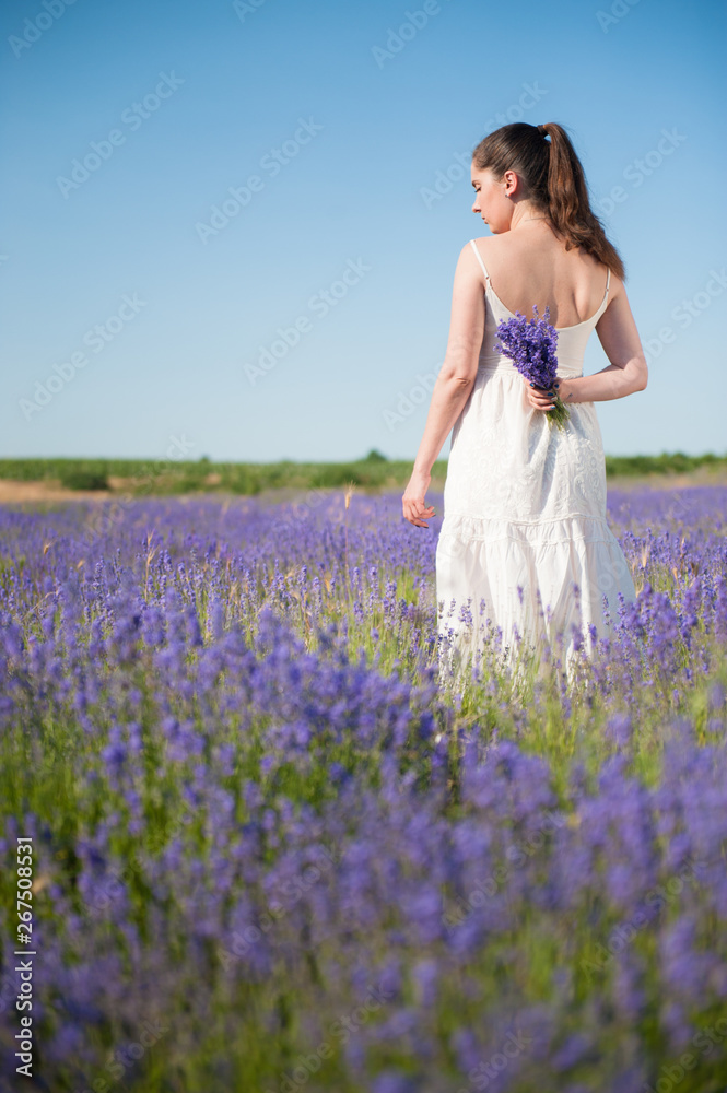 young alone elegant caucasian woman in white dress holding bouquet of lavender flower behind her back standing in flowering summer field outdoor lifestyle young alone elegant caucasian woman in white dress holding bouquet of lavender flower behind her back standing in flowering summer field outdoor lifestyle